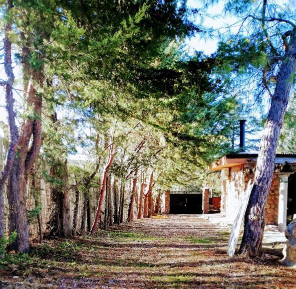 רואידרה La Cabana De Piedra מראה חיצוני תמונה